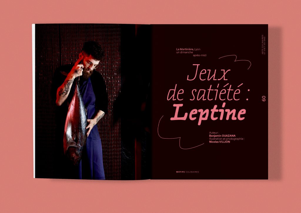 mockup leptine 2 4