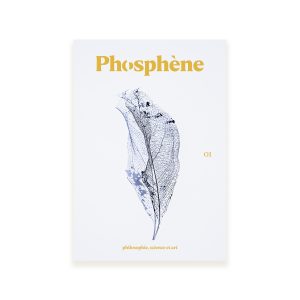 phosphène volume 1 les motifs